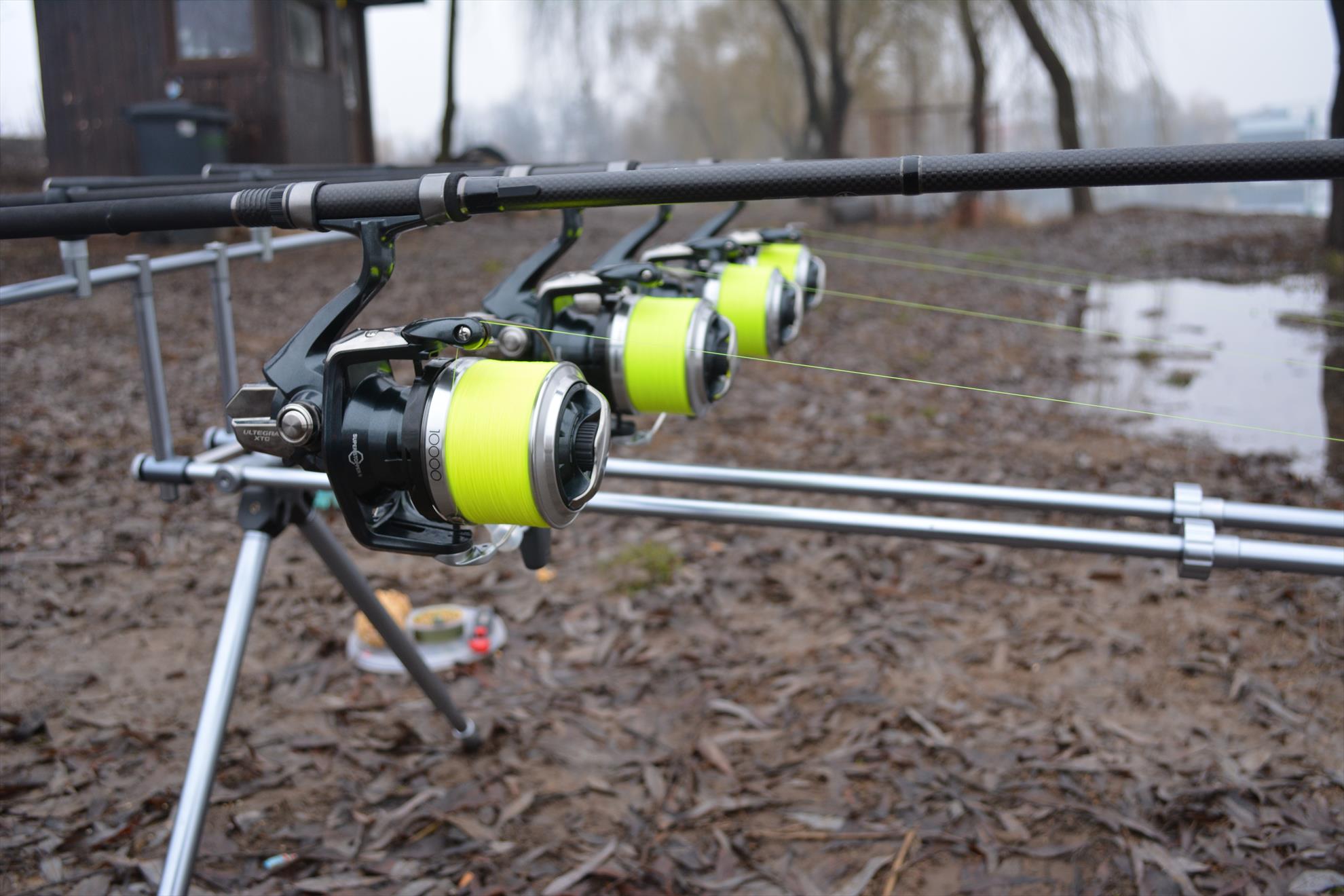 Prima partida pe 2015 :) - dsc0038.JPG